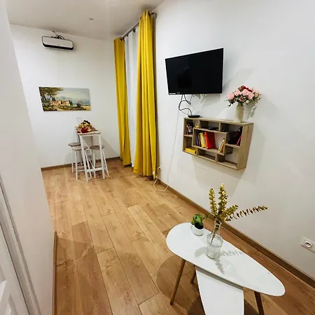 La Parenthese - Proche Gare - Etienne Appartement *